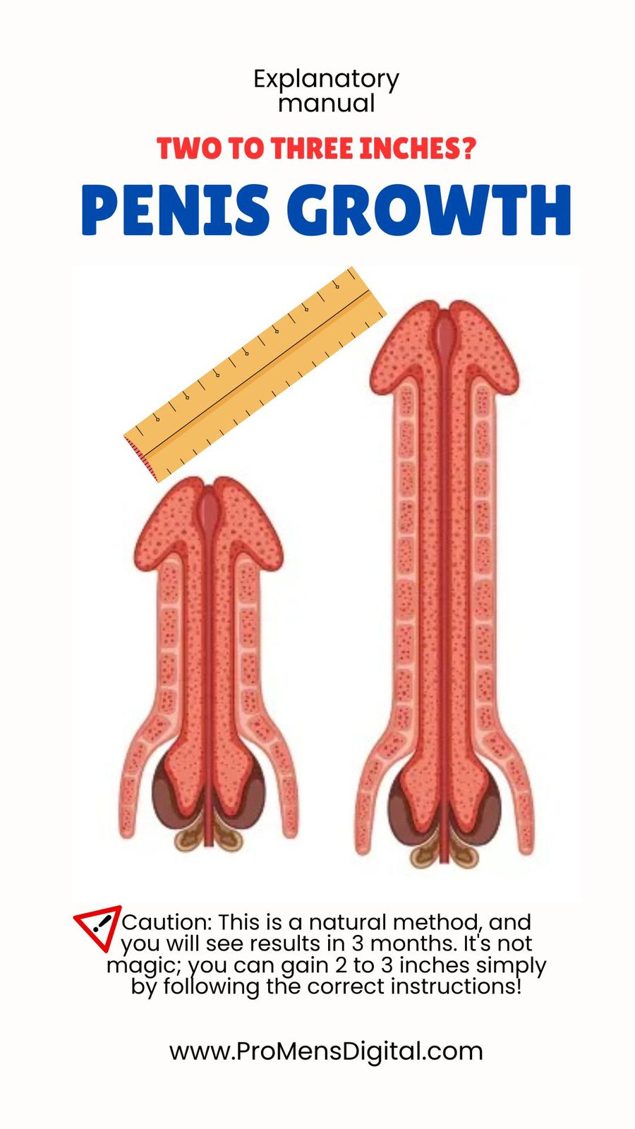 Guide to Penis Growth Techniques and Tips